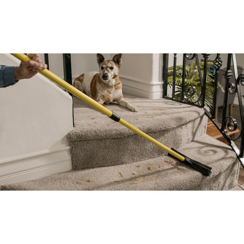 Broom Pet Hair Remover